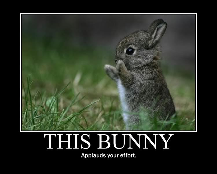 Bunny_Poster_by_earthy_rah.jpg