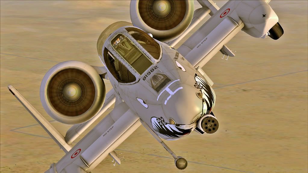 fsx2010-10-0922-05-08-99.jpg