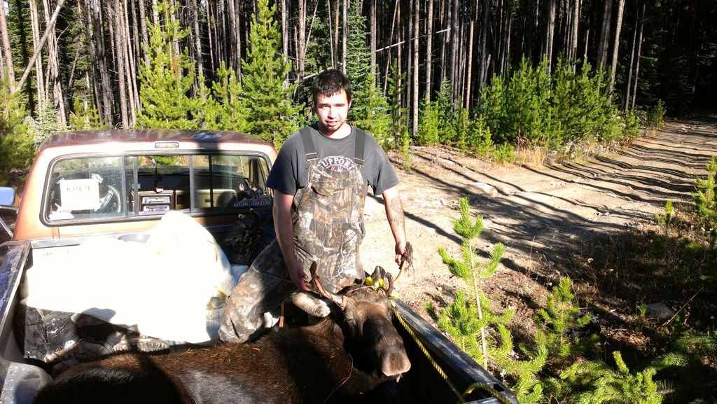 spike fork down!! first moose ever!! Page 2