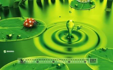 wallpapers gratis de agosto