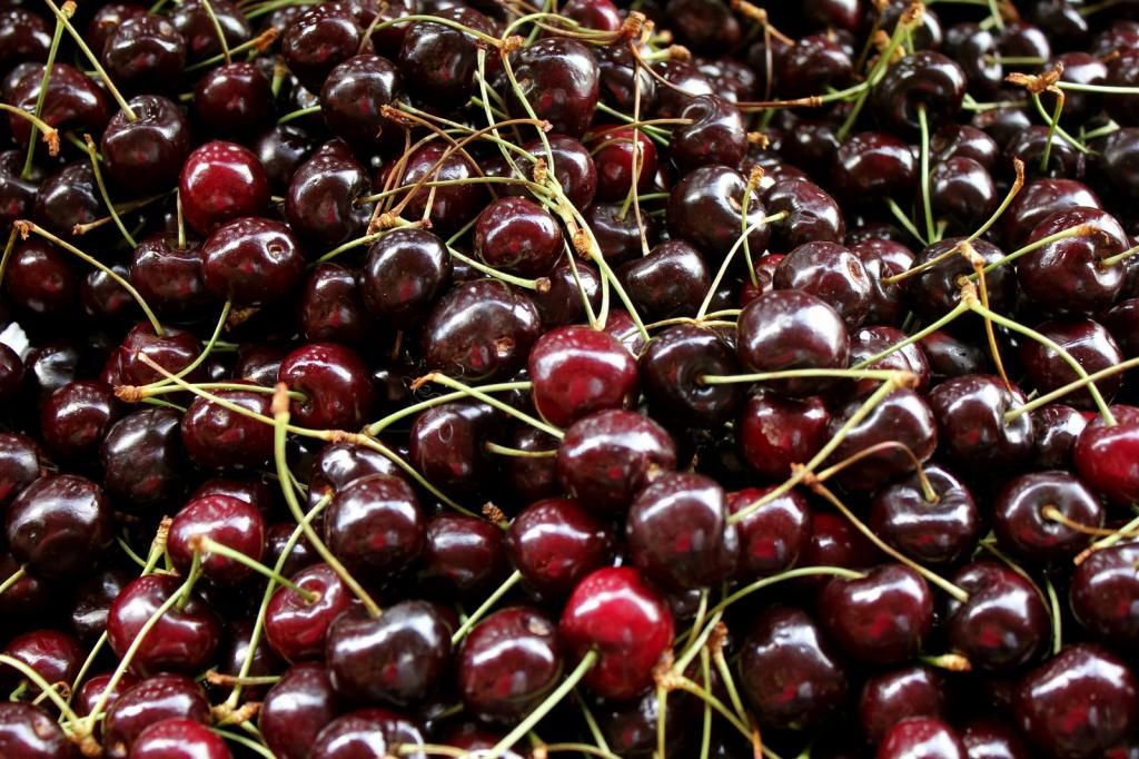 Hàng Tết tặng khách vip - 1