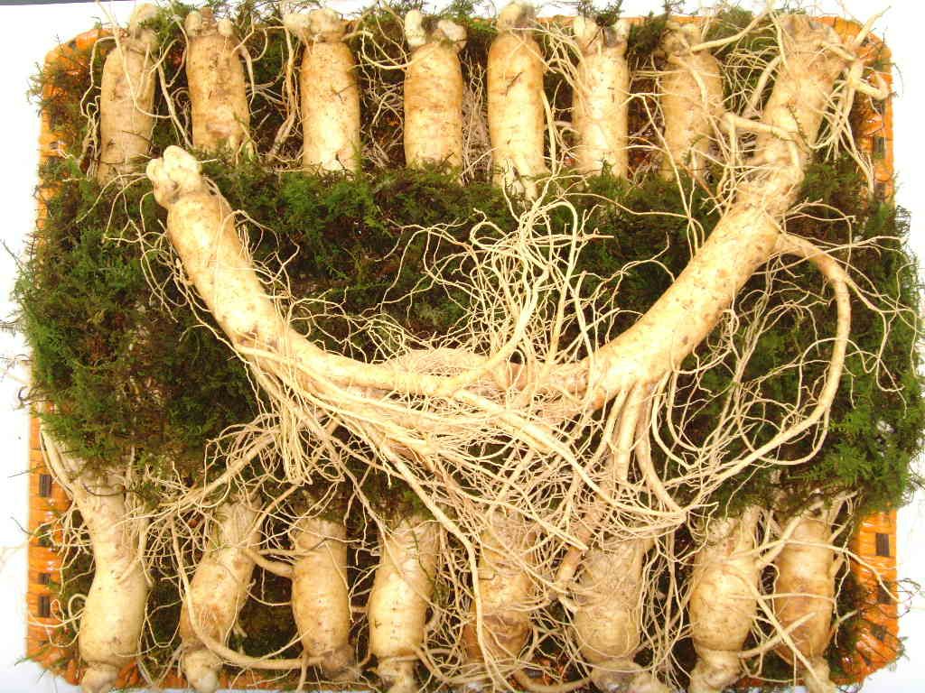 Hàng Tết tặng khách vip