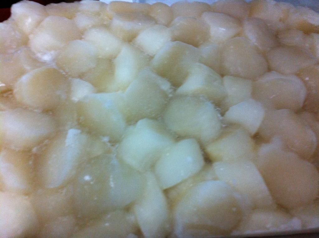 Sò Điệp Nhập khẩu từ ÚC - 4