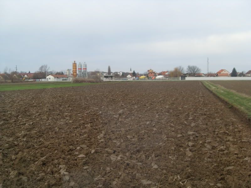 SDC11784.jpg