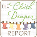 The Cloth Diaper Report
