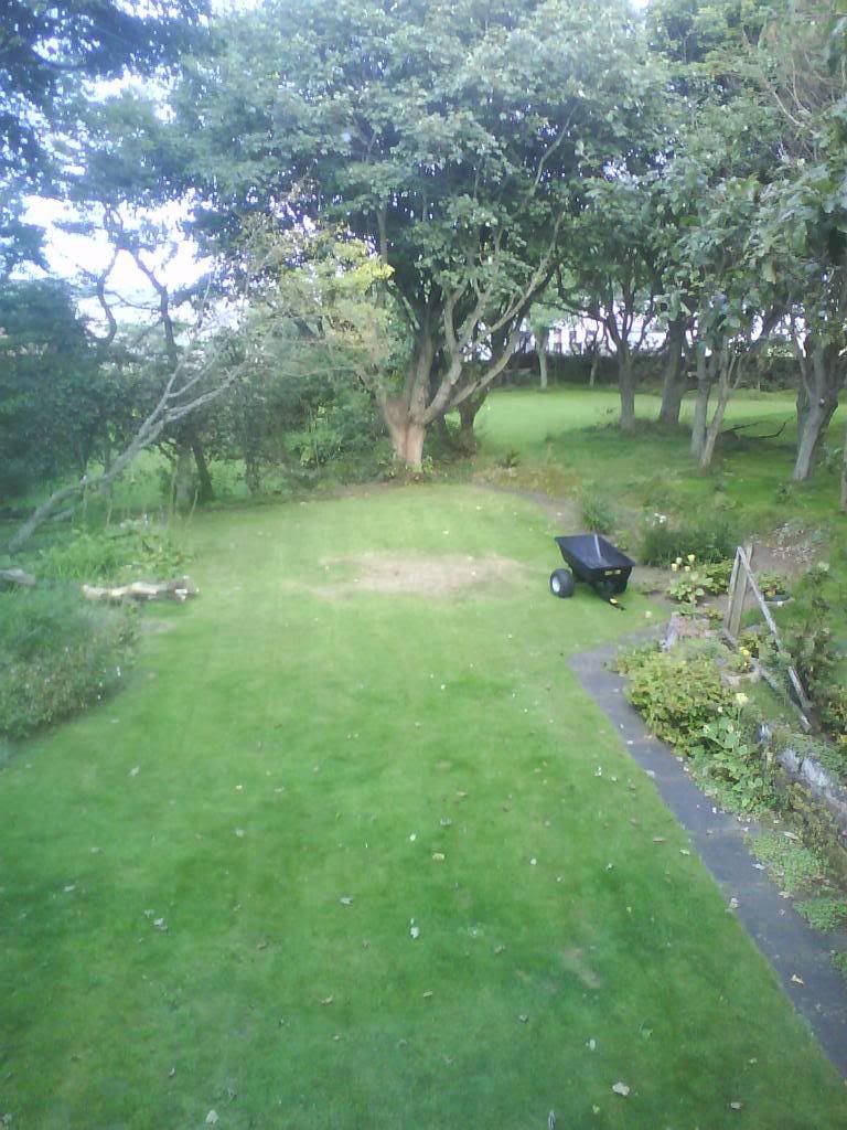 DSC00537.jpg