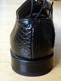 th_DSC04799.jpg