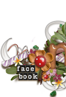 Facebook in letzte Chance