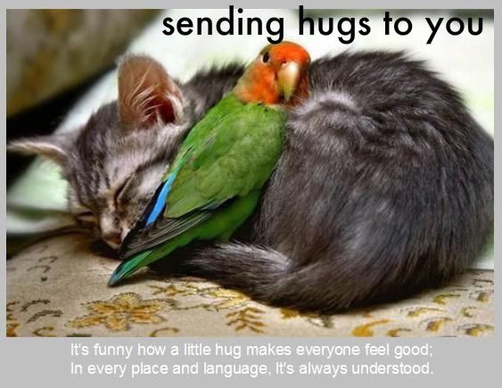 [Image: Cat_and_bird_hug.jpg]