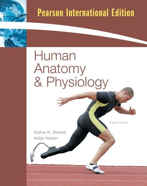 human anatomy and physiology course