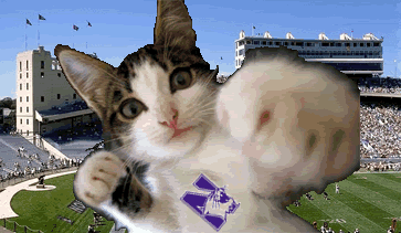 Fighting_Wildcat.gif wildcats image by calbuck79