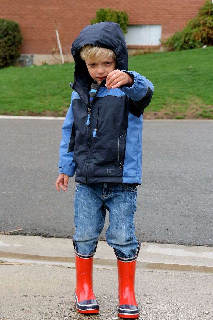photo IMG_8497_zps1d68fb5c.jpg