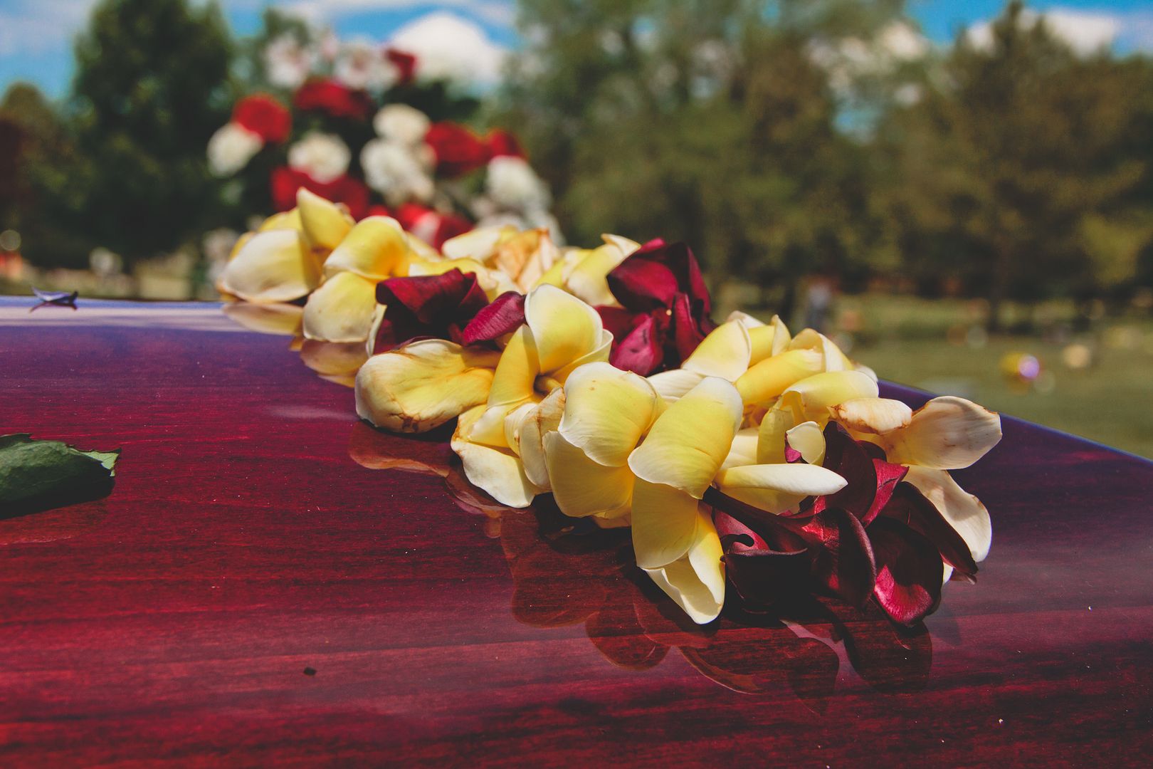 photo Rondas Funeral-0204_zpsgtlqxnhl.jpg