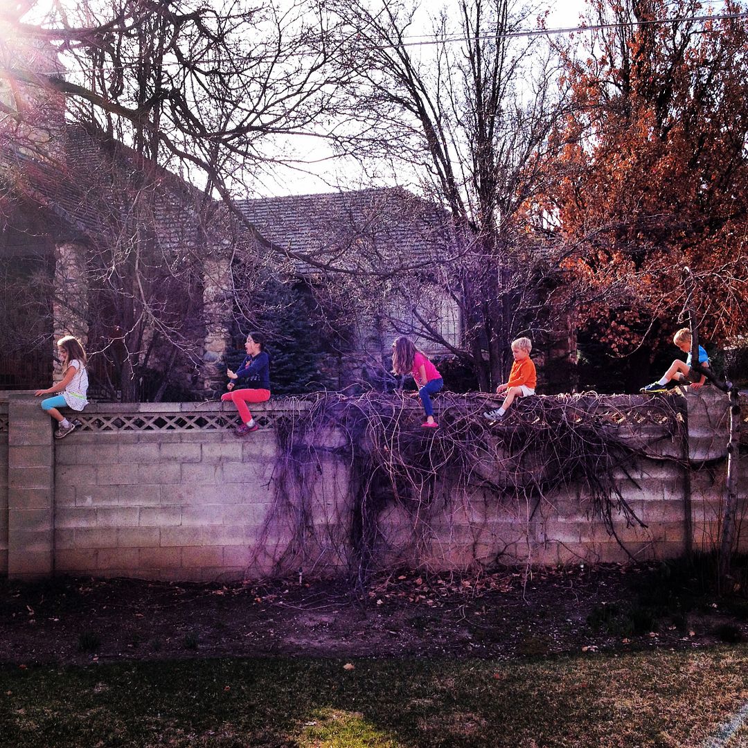 photo photo-63_zps0c4d35d0.jpg