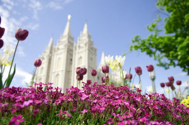 photo salt_lake_temple_weddings3_zps1a91c8a0.jpg