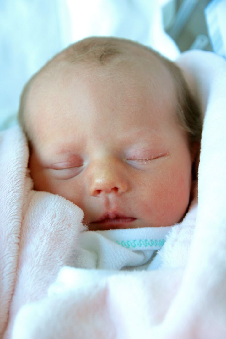 photo IMG_8705_zpsw4tjzsco.jpg