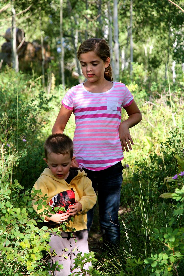 photo IMG_1069_zpsb2iree9d.jpg