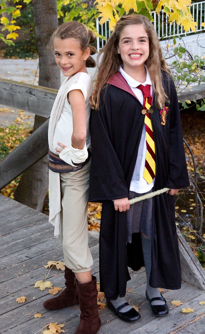 photo IMG_5870_zpsjtnwajl1.jpg