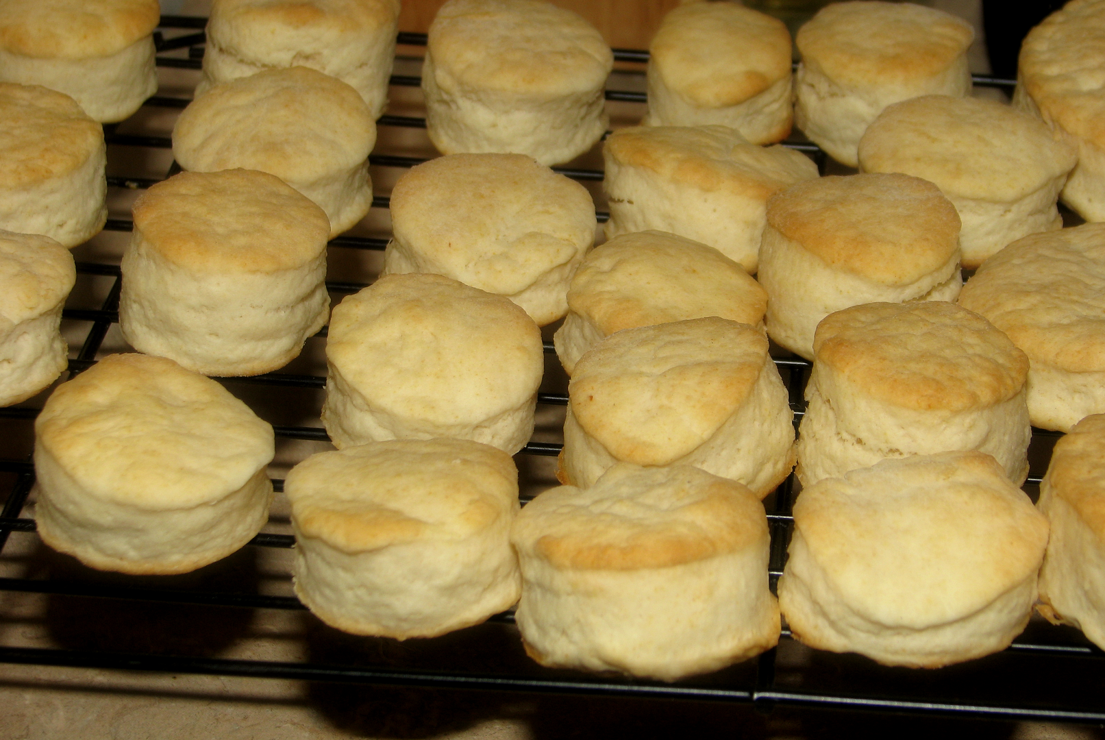 Quick 2 Ingredient Biscuits